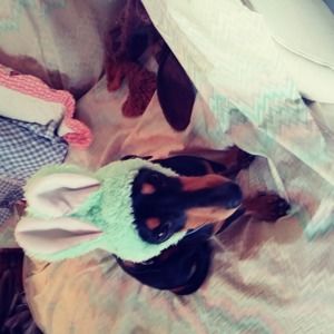 Meet your Posher, Celeste